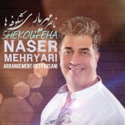 Naser Mehryari – Shekoufeha
